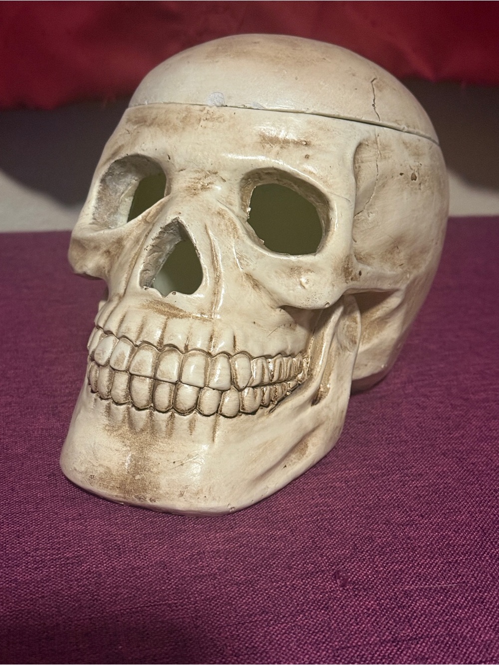 Resin Skull Container with Distressed Finish
